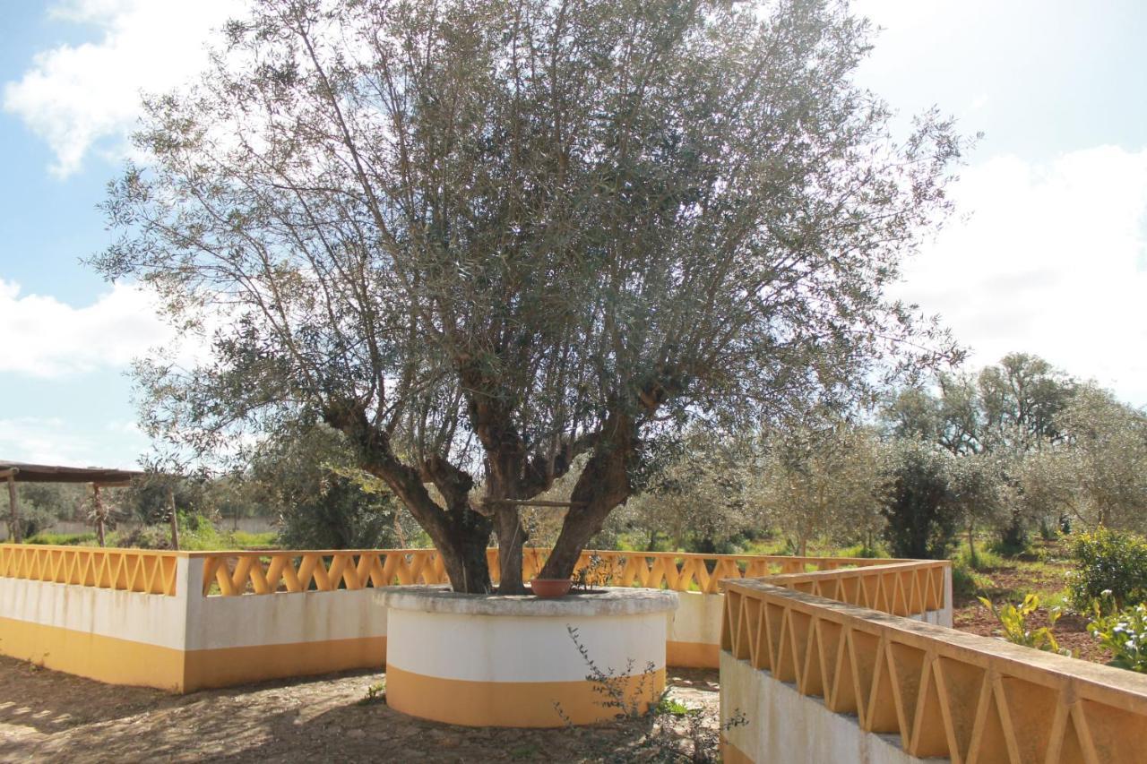 Villa Montinho Do Palanque Viana do Alentejo Esterno foto