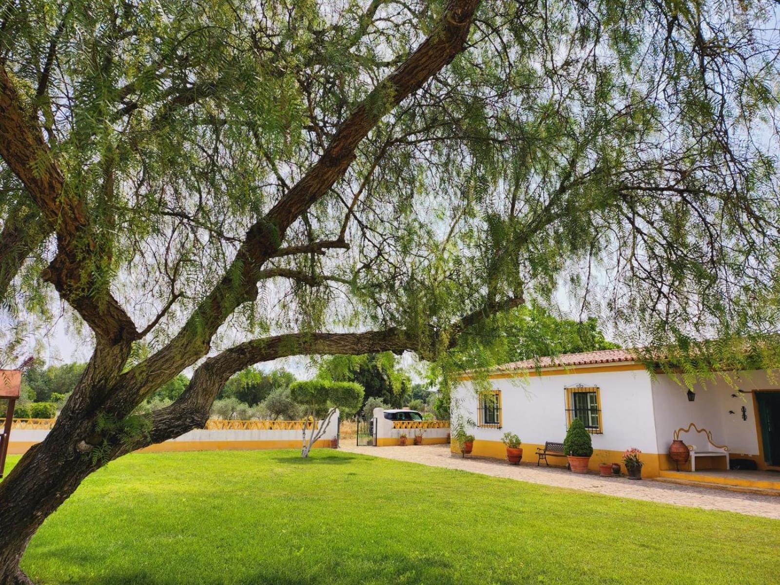 Villa Montinho Do Palanque Viana do Alentejo Esterno foto