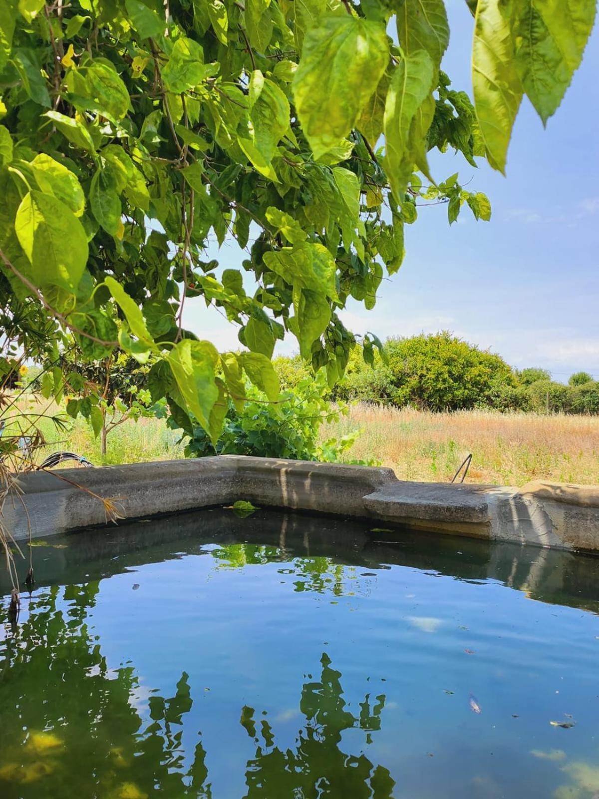 Villa Montinho Do Palanque Viana do Alentejo Esterno foto