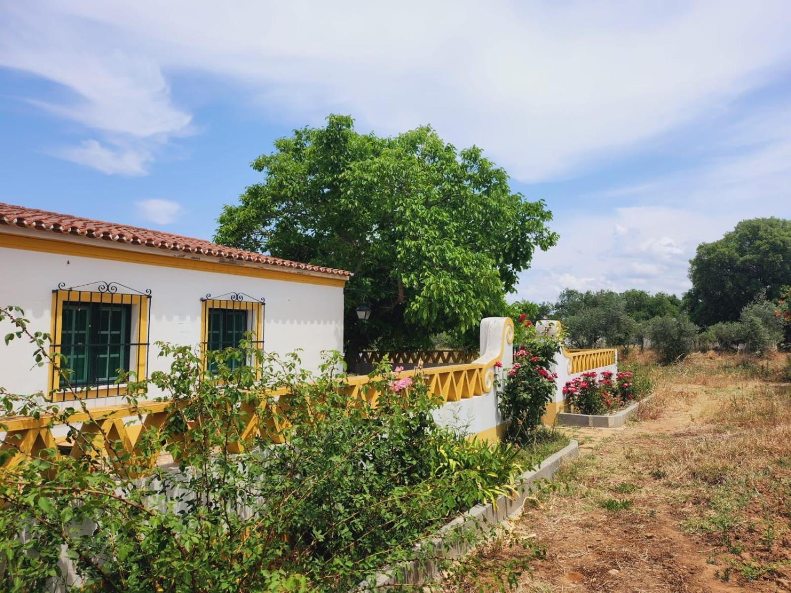 Villa Montinho Do Palanque Viana do Alentejo Esterno foto